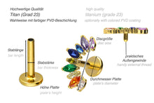 Laden Sie das Bild in den Galerie-Viewer, Titan Innengewinde Labret Regenbogen Kristalle Ohrpiercing piercinginspiration®