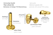 Laden Sie das Bild in den Galerie-Viewer, Totenkopf Titan Innengewinde Labret Ohrpiercing piercinginspiration®