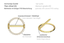 Laden Sie das Bild in den Galerie-Viewer, Titan Nippel Ring Clicker Eingefasste Kristalle piercinginspiration®
