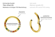 Laden Sie das Bild in den Galerie-Viewer, Titan Clicker Ring Eingefasste Regenbogen Kristalle piercinginspiration®