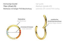 Laden Sie das Bild in den Galerie-Viewer, Titan Clicker Ring Eingefasste Regenbogen Kristalle piercinginspiration®