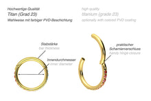 Laden Sie das Bild in den Galerie-Viewer, Titan Clicker Ring Multiple Regenbogen Kristalle piercinginspiration®