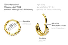 Laden Sie das Bild in den Galerie-Viewer, Multiple Kristalle Zwei Reihen Doppel Ring Clicker piercinginspiration®