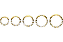 Laden Sie das Bild in den Galerie-Viewer, Clicker Ring 14 Epoxy Kristalle Segmentring piercinginspiration®