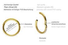 Laden Sie das Bild in den Galerie-Viewer, Titan Clicker Ring Multiple Kristalle piercinginspiration®