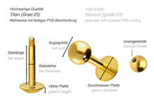 Laden Sie das Bild in den Galerie-Viewer, Titan Basic Labret Runde Platte Ohrpiercing Barbell piercinginspiration®