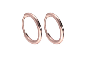 Titanium Hoop Earrings Clicker Ring Pair of Stud Earrings piercinginspiration®