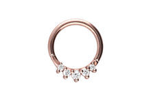 Load the image into the gallery viewer, 5 Small Set Crystals Clicker Ring piercinginspiration®