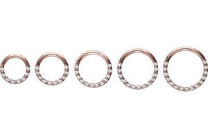 Clicker ring 14 segmentos de cristales epoxi anillo piercinginspiration®