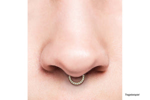 Clicker Ring 14 Kristalle Segmentring piercinginspiration®