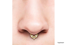 Load the picture into the gallery viewer, Multi Baguette Crystals Clicker Ring piercinginspiration®