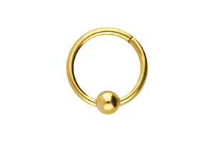 Titan Clicker Ring Kugel piercinginspiration®