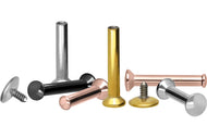 Titan Mini Rund Labret Innengewinde Flache Disc Ohrpiercing piercinginspiration®