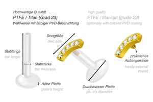 PTFE titanio hilo interno labret arco 5 cristales piercing en la oreja piercinginspiration®