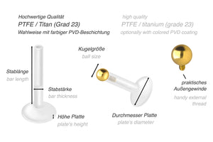 PTFE Titan Basic Rund Innengewinde Labret Ohrpiercing piercinginspiration®