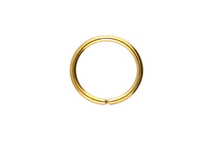 Titan Basic segment ring bendable piercinginspiration®