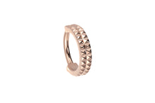 Load image into gallery viewer, Titanium Studded Rock Clicker Ring piercinginspiration®