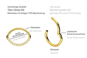 Titanium Multiple Set Crystals Oval Clicker Ring piercinginspiration®