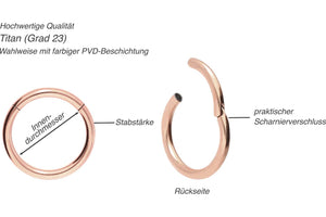 Titanium Basic Clicker Ring piercinginspiration®