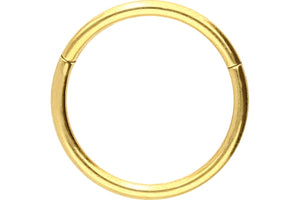 Titan Basic Clicker Ring piercinginspiration®